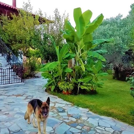 Cottage House,With Big Garden & Lawn Amaliada Esterno foto