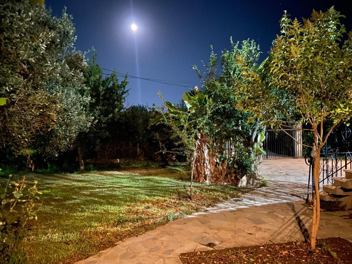 Cottage House,With Big Garden & Lawn Amaliada Esterno foto