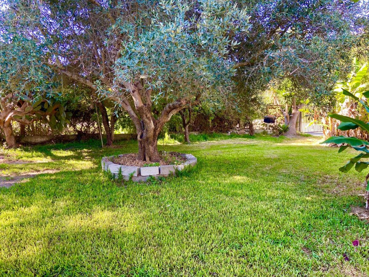 Cottage House,With Big Garden & Lawn Amaliada Esterno foto