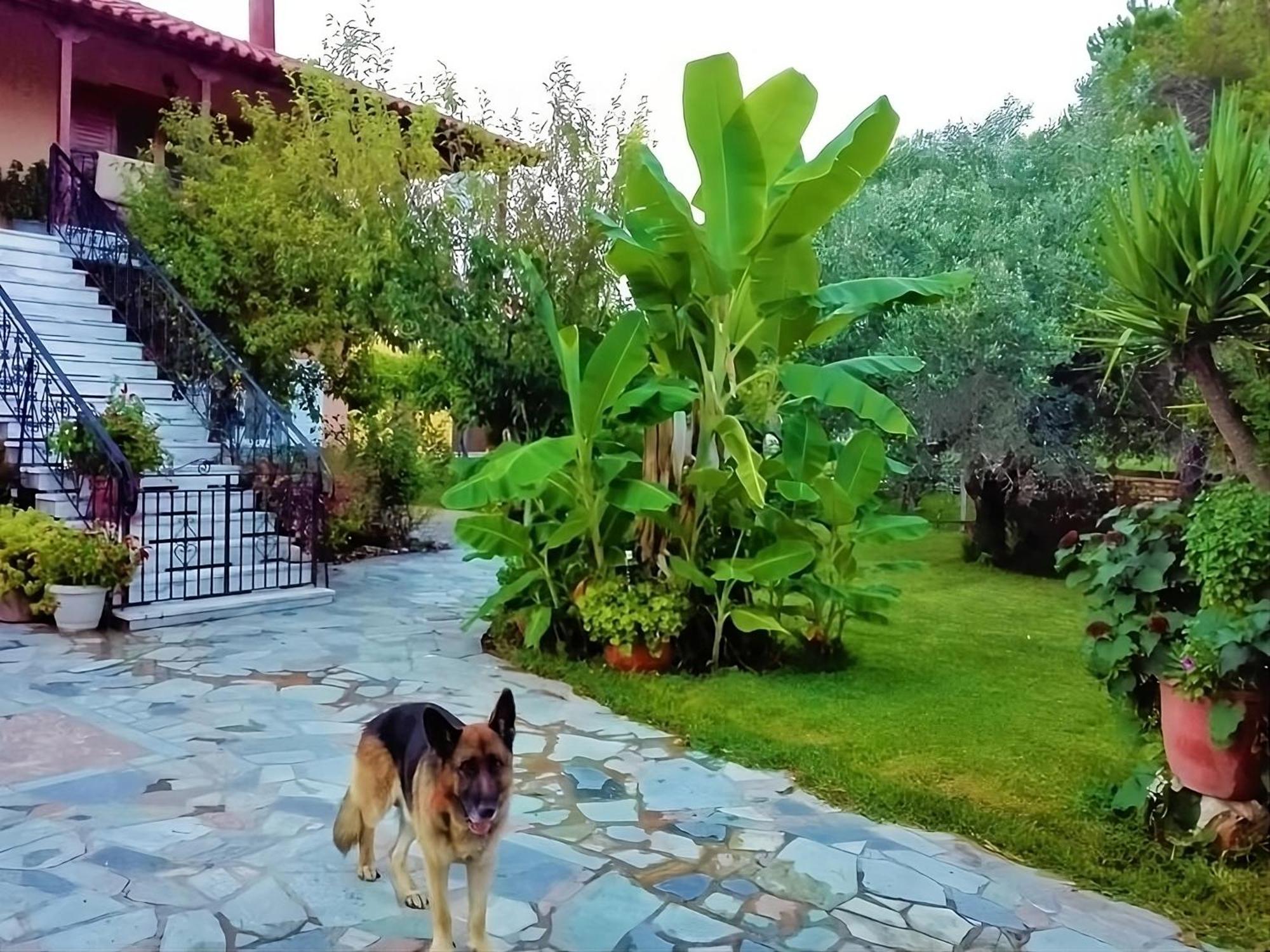 Cottage House,With Big Garden & Lawn Amaliada Esterno foto